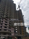 大城县真金板 防火真金板价格便宜